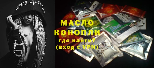 дурь Гусев