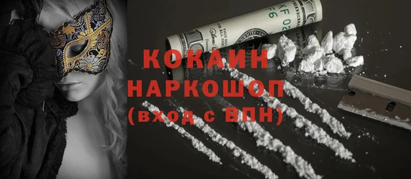 эйфоретик Гусь-Хрустальный