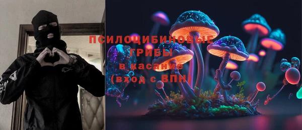 спиды Горняк