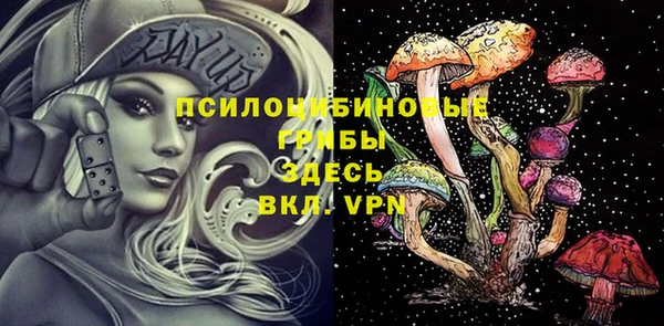 марки lsd Гусиноозёрск