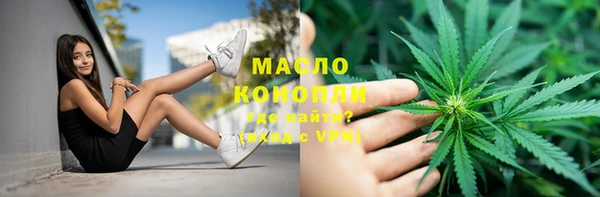 дурь Гусев