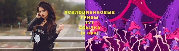 эйфоретик Гусь-Хрустальный