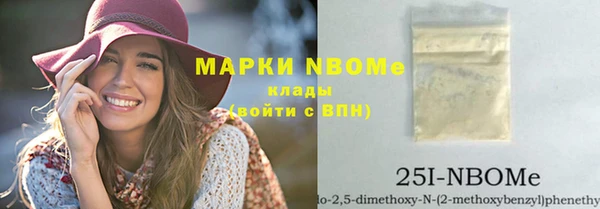 эйфоретик Гусь-Хрустальный