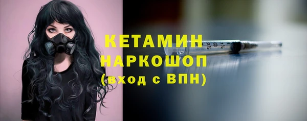 эйфоретик Гусь-Хрустальный