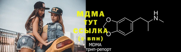 эйфоретик Гусь-Хрустальный