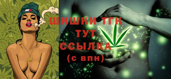 дурь Гусев