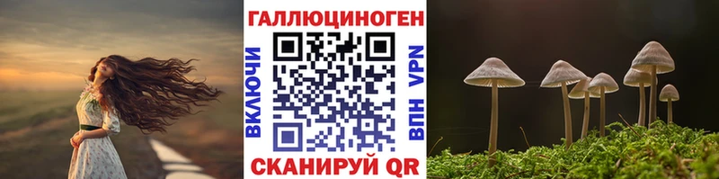 Псилоцибиновые грибы мухоморы  Домодедово 